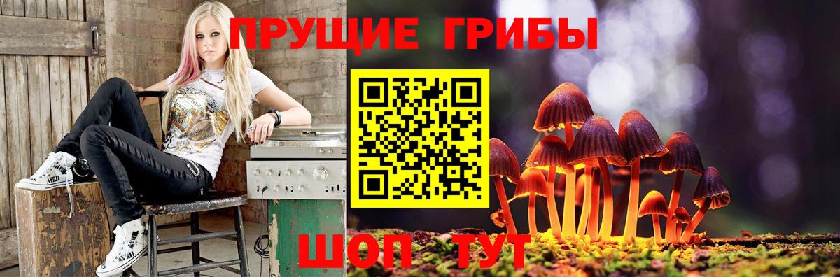 цены   Вход с VPN  Галлюциногенные грибы GOLDEN TEACHER  Великий Новгород  Галлюциногенные грибы Psilocybe 
